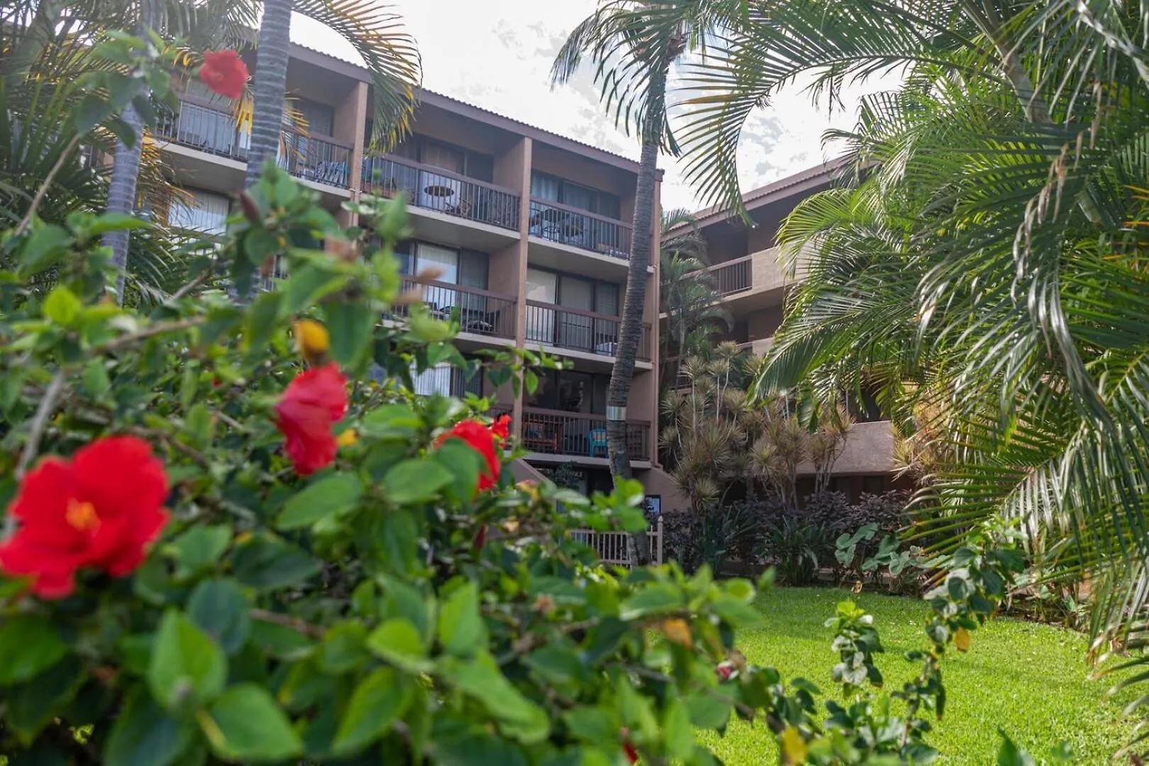 Dom wakacyjny Willa Maui Vista 3115 Kihei